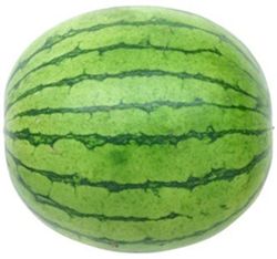 PREMIUM SEEDLESS CHAMPAGNE YELLOW WATERMELON XL (WHOLE)
