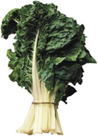 EXTRA LARGE FRESH LOCAL SILVERBEET SPINACH (EACH)