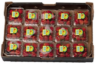 PREMIUM STRAWBERRIES (X18) TRAY