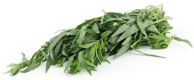 TARRAGON (BUNCH)