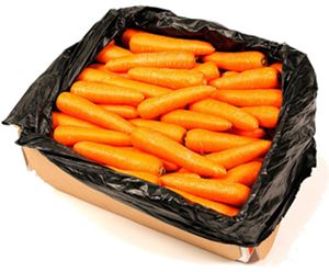 CARROTS 20KG (BOX)