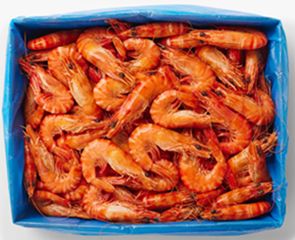 HERBST GOLD COAST TIGER PRAWNS (3KG BOX) HERBST GOLD COAST TIGER PRAWNS (3KG BOX)