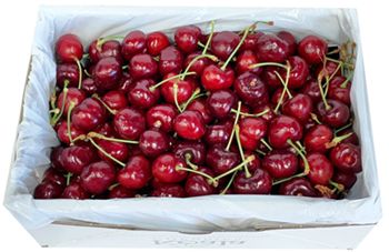 SWEET DARK LARGE PREMIUM CRUNHCY 2kg GIFT BOX CHERRIES ONLY $50 SWEET DARK LARGE PREMIUM CRUNHCY 2kg GIFT BOX CHERRIES ONLY $50