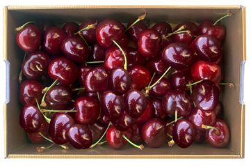 SWEET 1kg pnt CHERRIES SWEET 1kg pnt CHERRIES