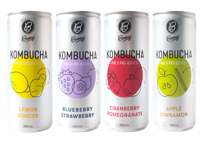 BONSOY KOMBUCHA ASSORTED CANS (250ML X 10) BOX