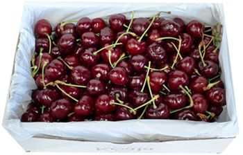 SWEET DARK LARGE PREMIUM TASI CRUNHCY 2kg BOX CHERRIES 32mm SWEET DARK LARGE PREMIUM TASI CRUNHCY 2kg BOX CHERRIES 32mm