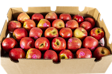PINK LADY APPLES MEDIUM SIZE 12KG (BOX)