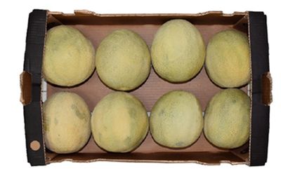 ROCKMELON X 8 (BOX) ROCKMELON X 8 (BOX)