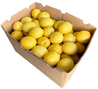 LEMONS (10KG BOX)
