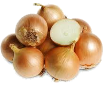BROWN ONION (KG) NET