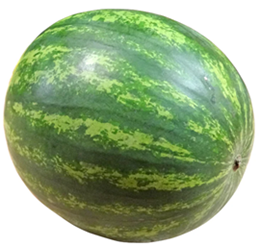 PREMIUM SEEDLESS WATERMELON XL (WHOLE APPROX 9/10kg)