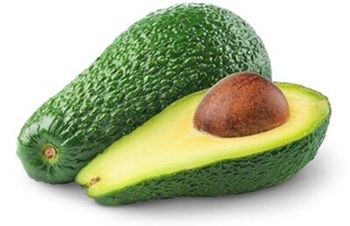 PREMIUM SHEPHERD  AVOCADO  X 3