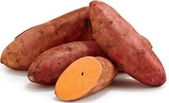 SMALL SWEET POTATOES (49cKG) NET