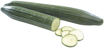 TELEGRAPH CUCUMBERS (EACH) TELEGRAPH CUCUMBERS (EACH)