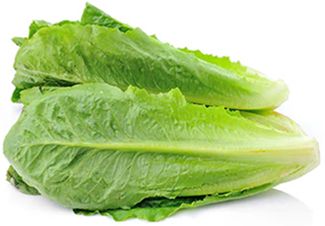 BABY COS LETTUCE (EACH) BABY COS LETTUCE (EACH)