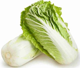 WHOLE WOMBOK/CHINESE CABBAGE WHOLE WOMBOK/CHINESE CABBAGE