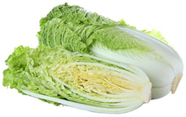 HALF WOMBOK/CHINESE CABBAGE HALF WOMBOK/CHINESE CABBAGE