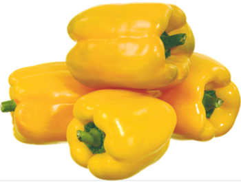 YELLOW CAPSICUM (KG)