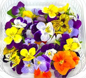 EDIBLE FLOWERS (PUNNET) EDIBLE FLOWERS (PUNNET)
