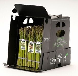 ASPARAGUS X 33 (BOX) ASPARAGUS X 33 (BOX)