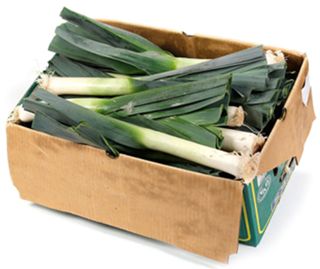 LEEKS x 16 (BOX) LEEKS x 16 (BOX)