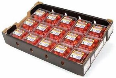 CHERRY TOMATOES TRAY (15 PUNNETS)
