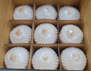 COCONUT EACH (X 9) BOX