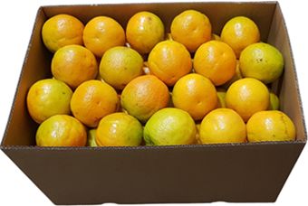 JUICING ORANGES (10KG) BOX JUICING ORANGES (10KG) BOX