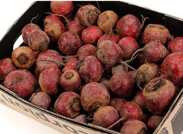 BEETROOT (10KG) BAG BEETROOT (10KG) BAG