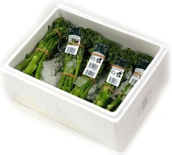 BROCCOLINI X 12(BOX) BROCCOLINI X 12(BOX)