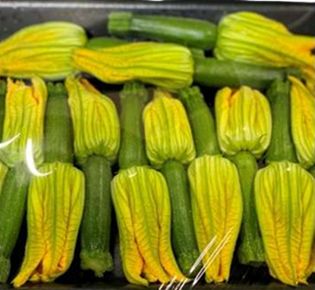 ZUCCHINI FLOWER (X20) TRAY