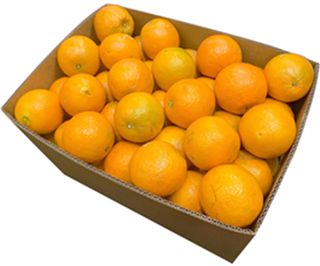 PREMIUM NAVEL ORANGES (10KG BOX) PREMIUM NAVEL ORANGES (10KG BOX)