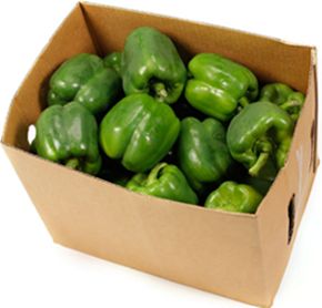 CAPSICUM GREEN 8KG (BOX)