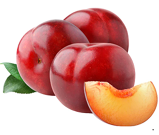 PLUMS (KG)