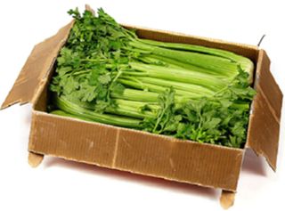 CELERY (BOX) x 6