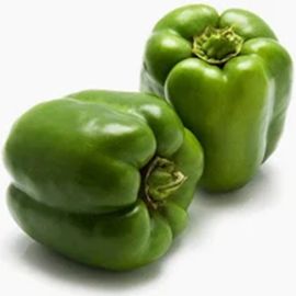CAPSICUM GREEN (KG)
