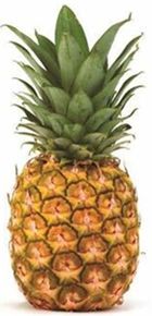 LARGE PINEAPPLE (12 IN BOX)