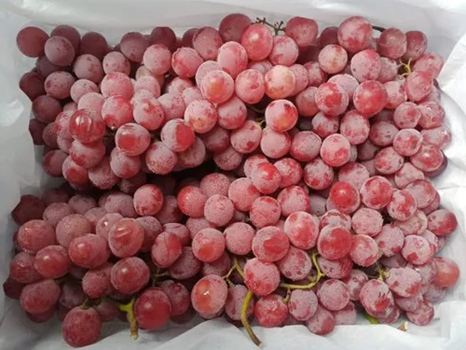PREMIUM RED SEEDLESS GRAPES (BOX)
