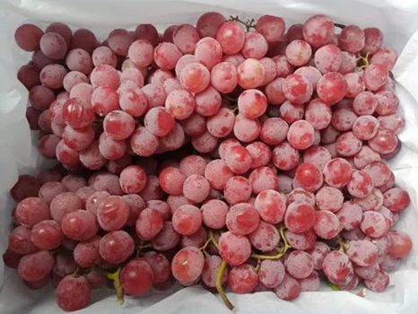 PREMIUM RED SEEDLESS GRAPES (BOX)