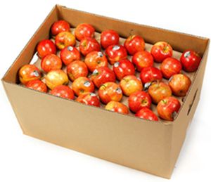 ROYAL GALA APPLES (12kg BOX)