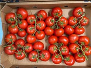 TRUSS TOMATOES TRAY TRUSS TOMATOES TRAY