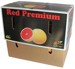 GRAPEFRUIT 15KG (BOX)