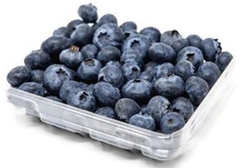 BLUEBERRIES (X2) PUNNETS BLUEBERRIES (X2) PUNNETS