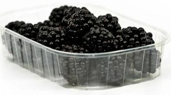 BLACKBERRIES (PUNNET)