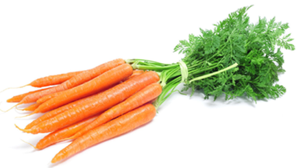 DUTCH CARROTS (X 20) BOX