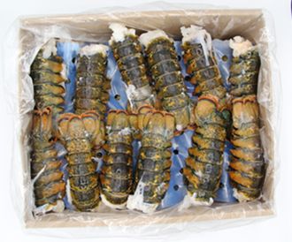 WESTERN AUSTRALIAN LOBSTER TAILS (1KG) WESTERN AUSTRALIAN LOBSTER TAILS (1KG)