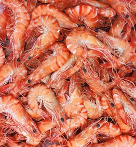 LARGE AUSTRALIAN FROZEN TIGER PRAWNS (1KG) LARGE AUSTRALIAN FROZEN TIGER PRAWNS (1KG)