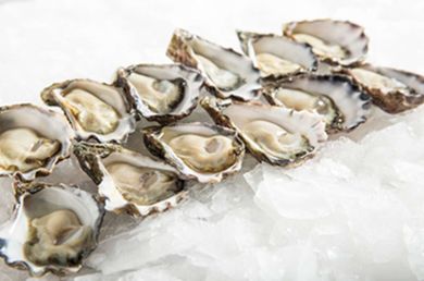 MEDIUM SYDNEY ROCK OYSTERS (DOZEN)