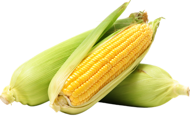 CORN (X2) EACH CORN (X2) EACH