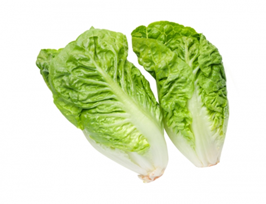 BABY TWIN COS LETTUCE (EACH)